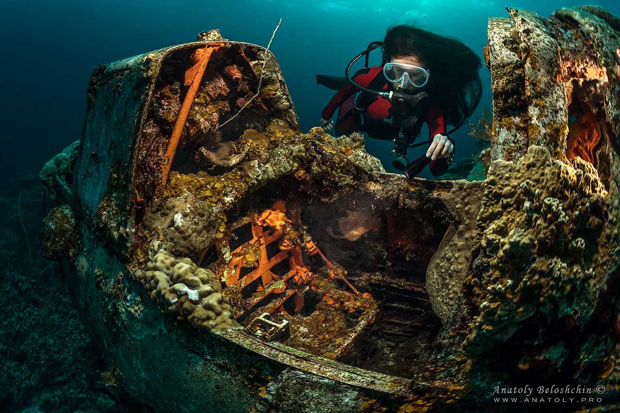 female diver looking into the cockpit of a shot down world war 2 airplanes at Jake Sea Plane a famous dive site in Palau