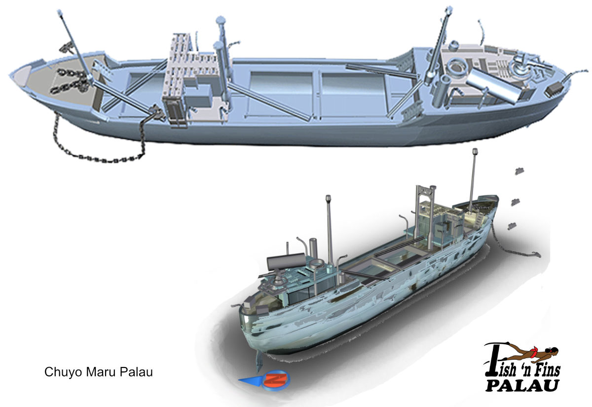 graphic of the Chuyo Maru ship wreck in Palau