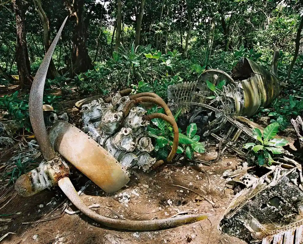 WW2 relict of a Japanese airplane in the jungle in Peleliu Palau