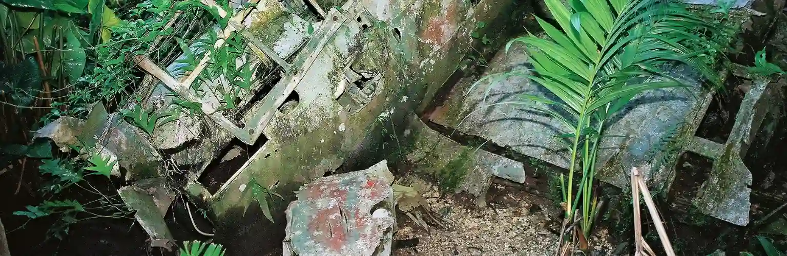 WW2 wreck of an airplane shot down in the jungle in Peleliu Palau