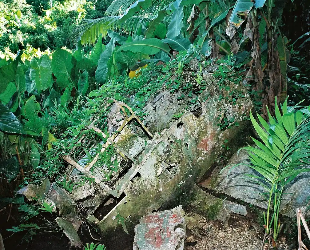 Rests of an airplane in the jungle of Palau