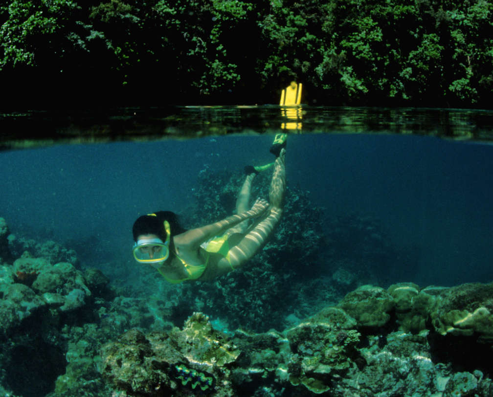 woman in yellow bikini under water snorkeling 