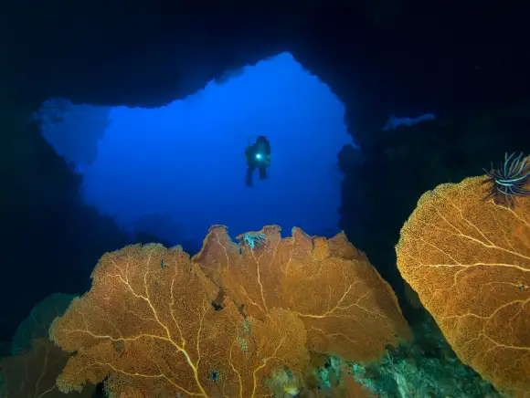 underwater photo of a scuba diver entering a cave with yellow fan coral in the forefront lit by strobes